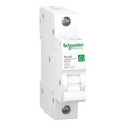 KISMEGSZAKÍTÓ 1P 20A C SCHNEIDER R9F14120  (35736)